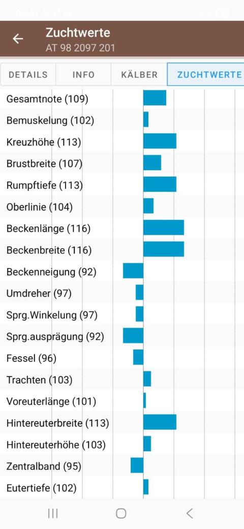 Bio Braunvieh Stierkalb Zuchtstier