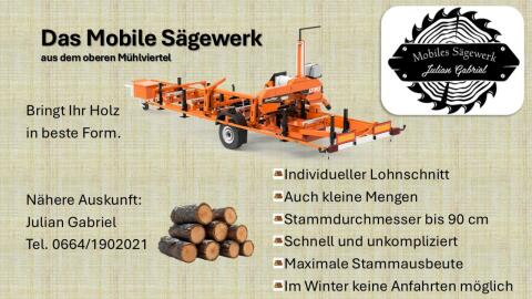 Lohnschnitt mit mobiler Bandsäge
