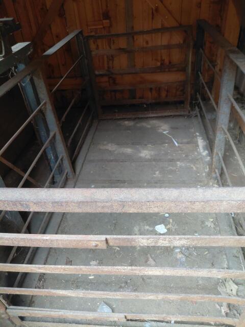 Viehwaage bis 1500kg
