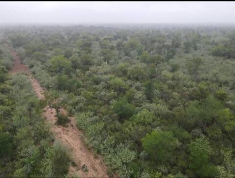 Fokus auf Investment & Zukunft 5.000 ha in Paraguay