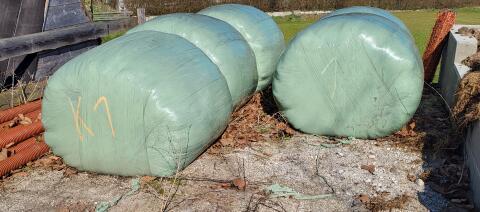 Siloballen 1 Schnitt 2025