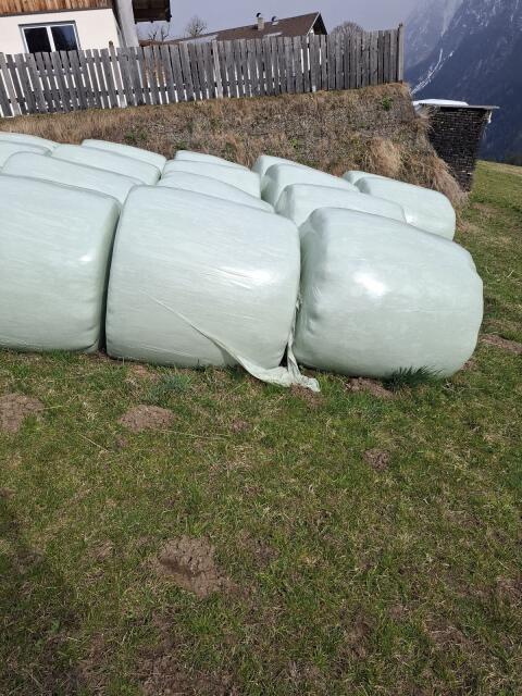 Siloballen 2. Schnitt