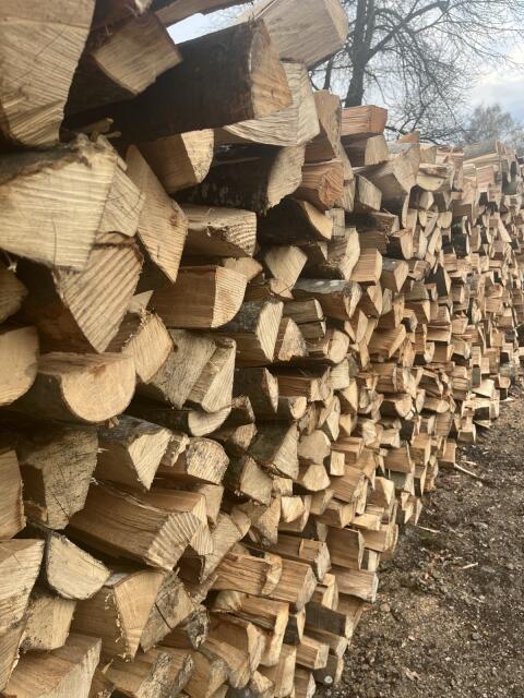 Buchenholz