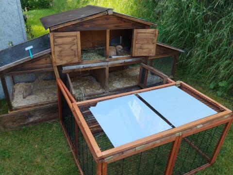 Hasen mit stall