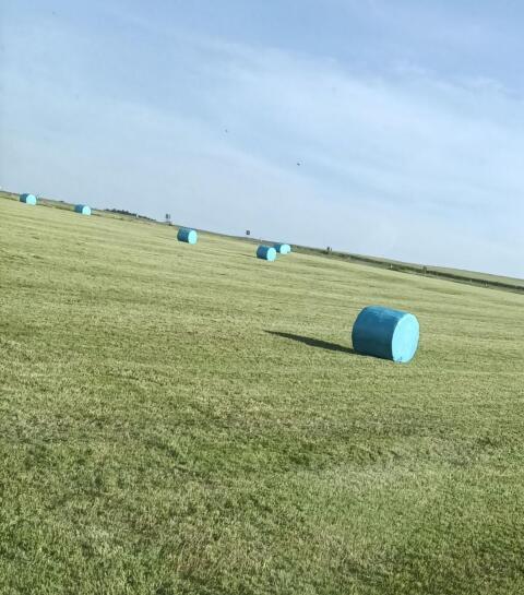 Siloballen