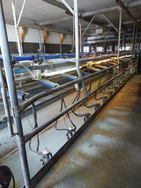 Melkstand DeLaval