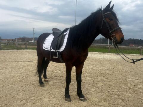 Pony Wallach
