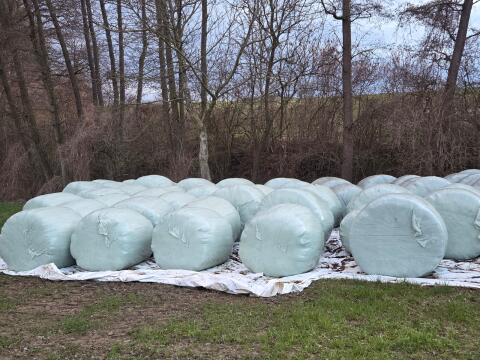Gras-Silage-Ballen zu verkaufen