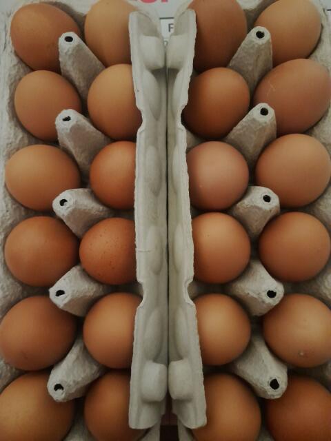 Frische Freilandeier