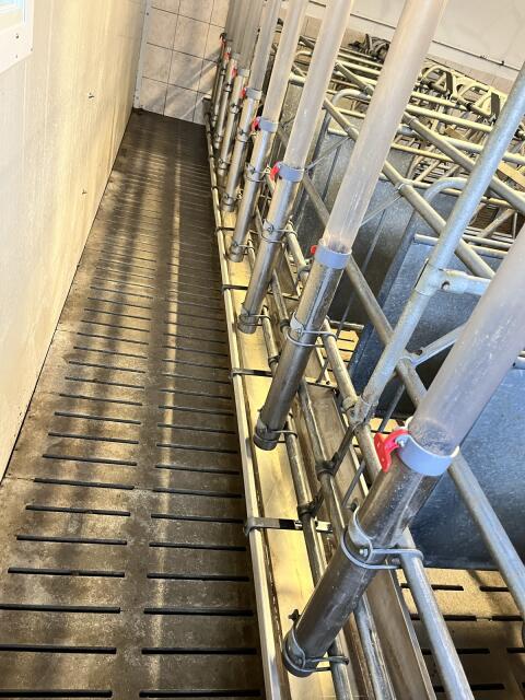 Schauer Selbstfangkastenstände SWING