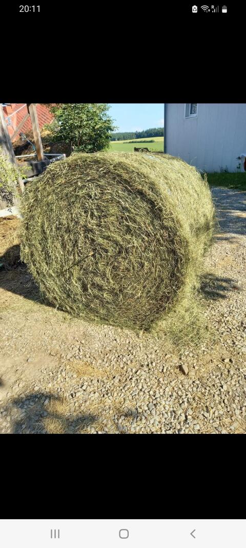 Heurundballen  2 Schnitt