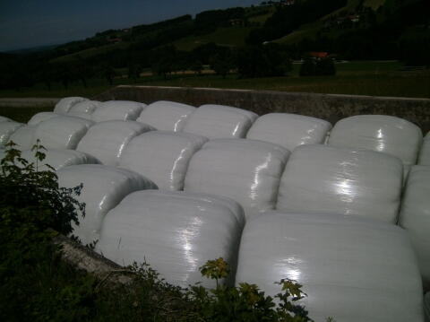 Siloballen