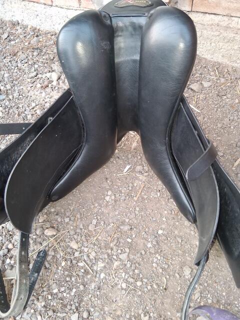 sommer Dressur  sattel  17,5