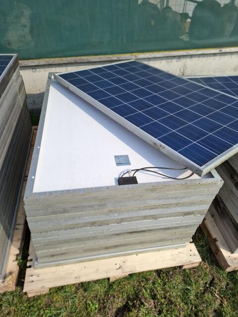 PV Module Phono Solar 240P