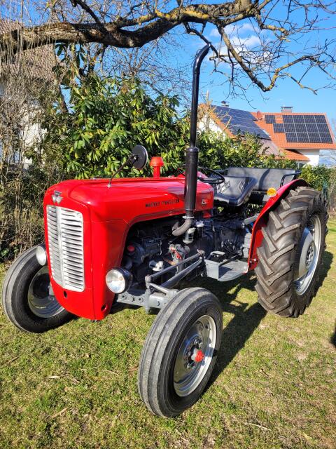 Massey Ferguson MF 35 X - mit Zusatzsitzbank bis zu 3 Pers.