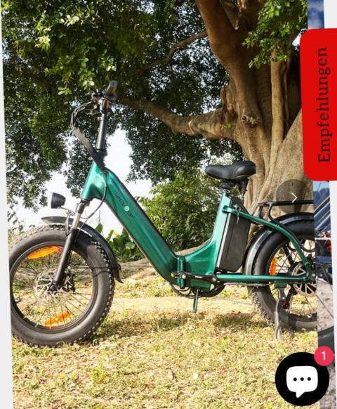 E-Bike Neuwertig, Tiefeneinstieg der Marke SIKVOGR