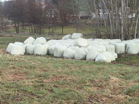 Verkaufe Silageballen, Feldfutter