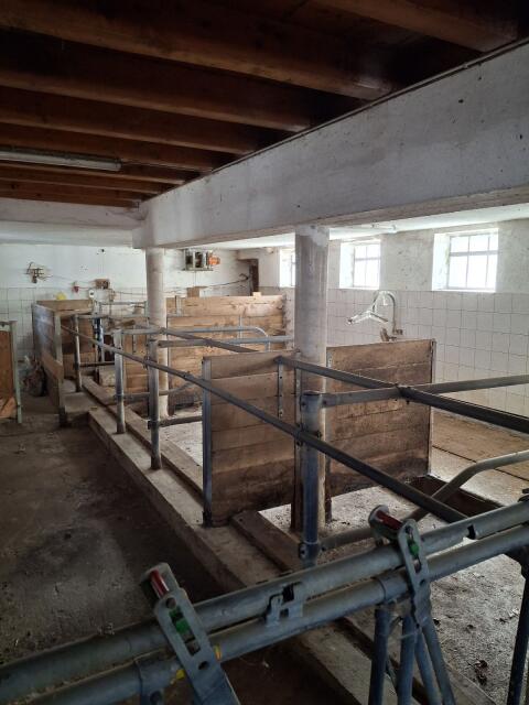 Aufstallung Laufstall Liegeboxen