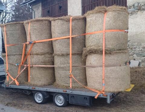 Grummetballen zu verkaufen.