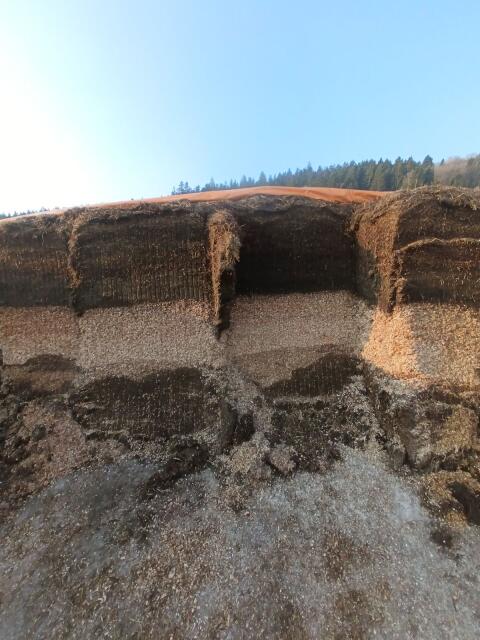 Verschenke Silage