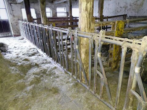 Schauer Selbstfanggitter