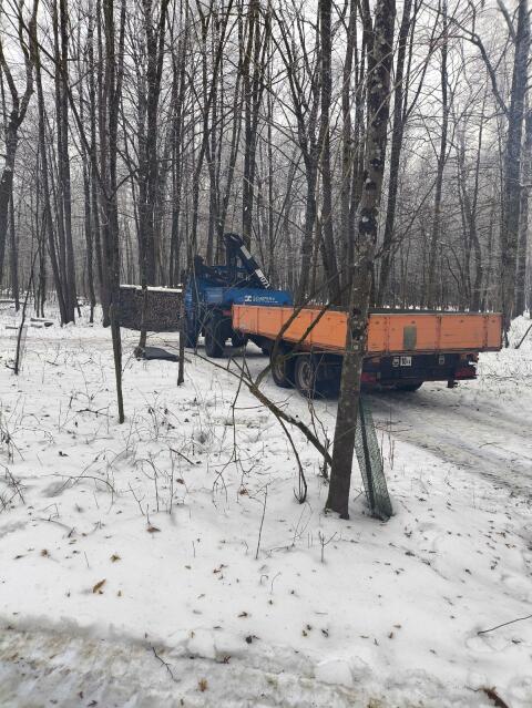 Wellmeyer Wilhelm Tandem Tieflader Kipper, Model M1209