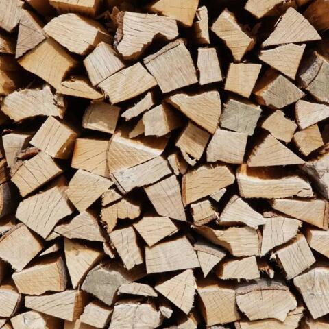 Brennholz