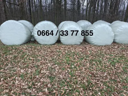 Verkaufe 10 Stk. Grassilageballen