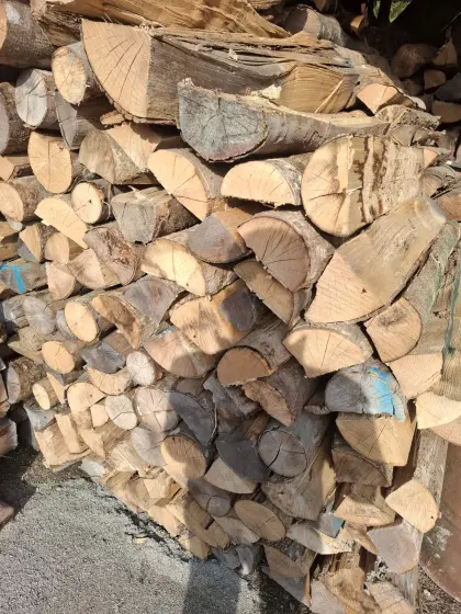 Brennholz Esche, Buche