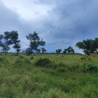 Exklusive Investmentgelegenheit: 16.000 ha - Paraguay