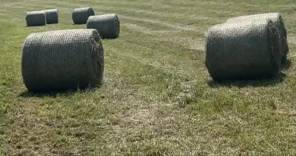 Verkaufe schöne Heuballen 1. Schnitt 2025