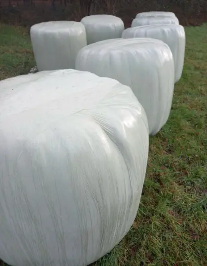 Silo Ballen 2ter Schnitt