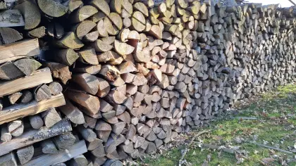 Brennholz Fichte
