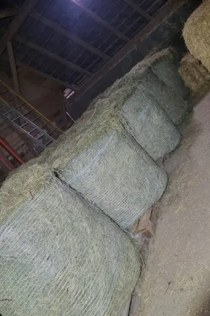 Bio Heu 2. Schnitt 2025