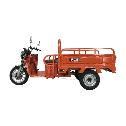 BULLBIKE Kano XL Cargo E-Lastendreirad 600W 72V 45Ah 25km/h