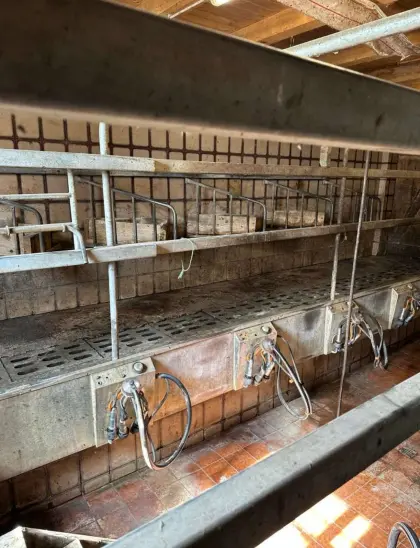 Melkstand 2x4 Fischgrät