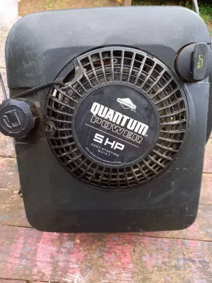 Rasenmähermotor Briggs & Stratton