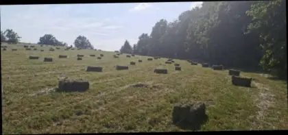 Heu Kleinballen 2. Schnitt 2025