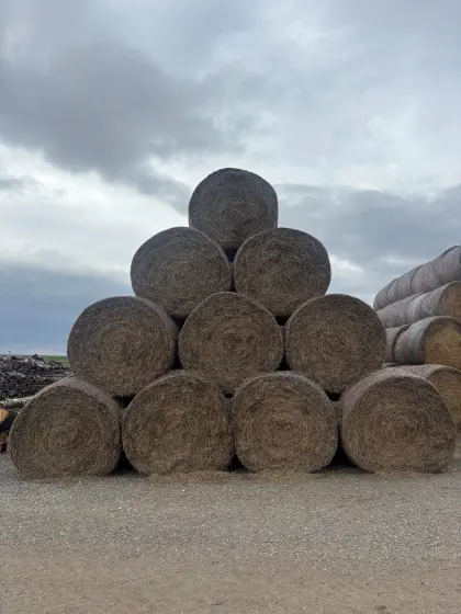 Verkaufe Strohballen