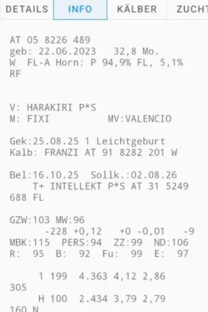 Bio Erstlingskuh - trächtig