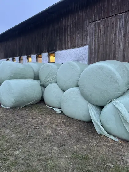 Maissilageballen