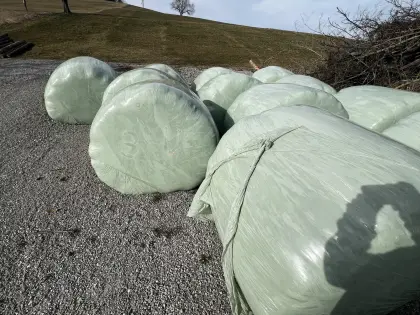Silageballen Gras-Silage/Silage konventionell