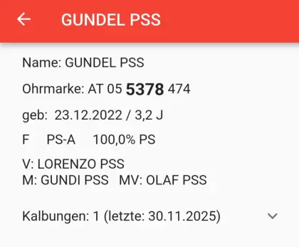 Pustertaler Sprinzen Kuh PSS