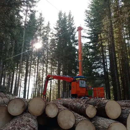 Syncrofalke Gebirgsharvester