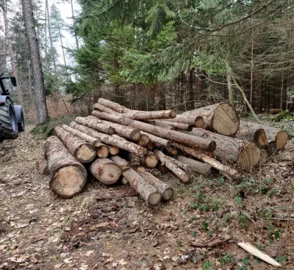 Brennholz lang