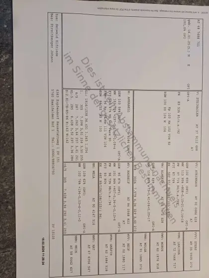 Pinzgauer Zuchtstier