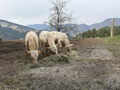 Einsteller Fresser bio