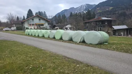 Silageballen