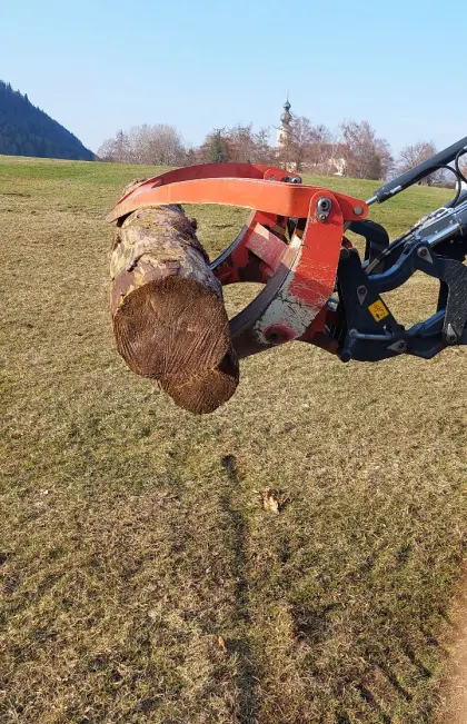 Polterzange, Poltergreifer, Holzzange, Polterschild