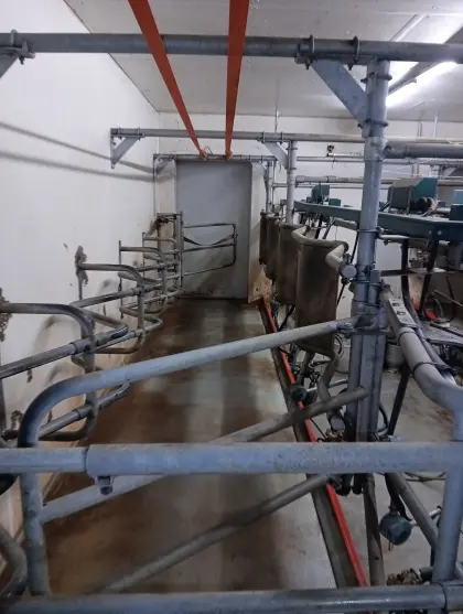 GEA  2x4 Fischgräten Melkstand  Komplett